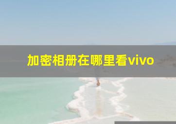 加密相册在哪里看vivo