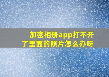 加密相册app打不开了里面的照片怎么办呀