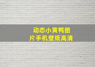 动态小黄鸭图片手机壁纸高清