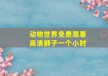 动物世界免费观看高清狮子一个小时