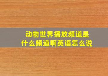 动物世界播放频道是什么频道啊英语怎么说