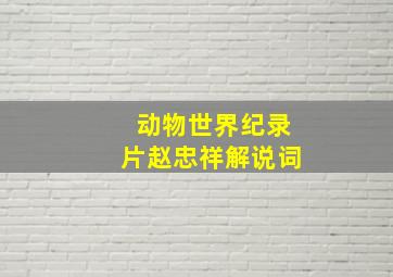 动物世界纪录片赵忠祥解说词