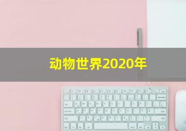 动物世界2020年