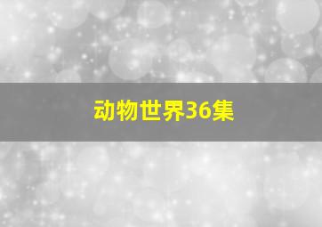 动物世界36集