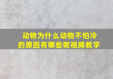 动物为什么动物不怕冷的原因有哪些呢视频教学