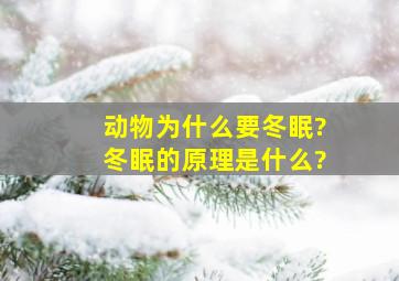 动物为什么要冬眠?冬眠的原理是什么?