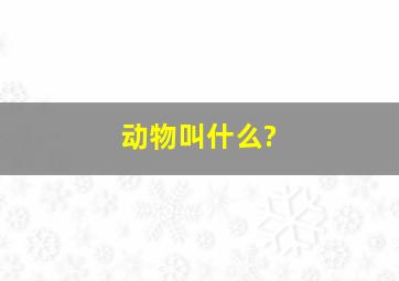 动物叫什么?