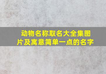 动物名称取名大全集图片及寓意简单一点的名字