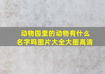 动物园里的动物有什么名字吗图片大全大图高清