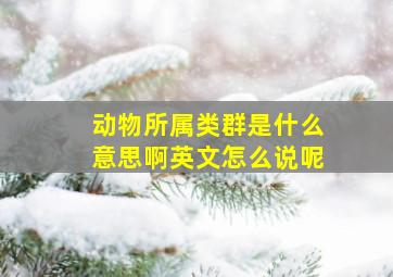 动物所属类群是什么意思啊英文怎么说呢