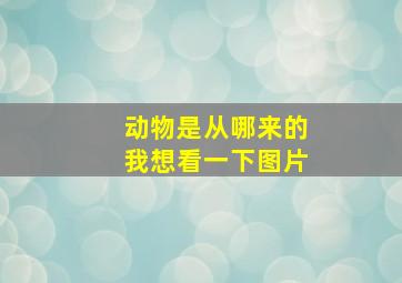 动物是从哪来的我想看一下图片