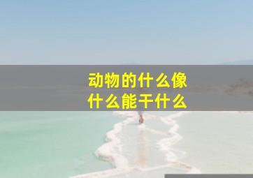 动物的什么像什么能干什么