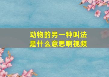 动物的另一种叫法是什么意思啊视频