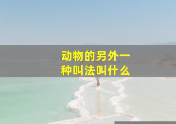 动物的另外一种叫法叫什么