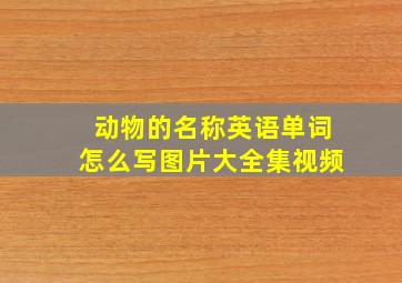 动物的名称英语单词怎么写图片大全集视频