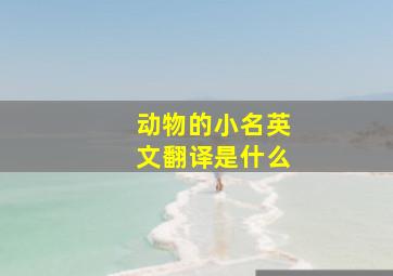 动物的小名英文翻译是什么