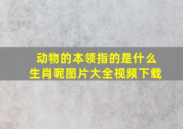 动物的本领指的是什么生肖呢图片大全视频下载