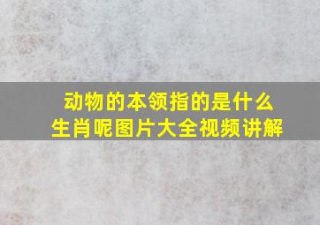 动物的本领指的是什么生肖呢图片大全视频讲解