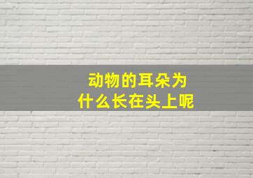 动物的耳朵为什么长在头上呢