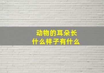 动物的耳朵长什么样子有什么