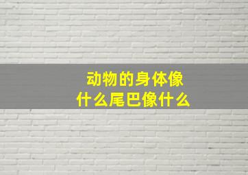 动物的身体像什么尾巴像什么