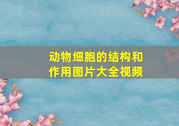 动物细胞的结构和作用图片大全视频