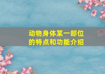 动物身体某一部位的特点和功能介绍