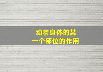 动物身体的某一个部位的作用