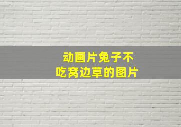 动画片兔子不吃窝边草的图片