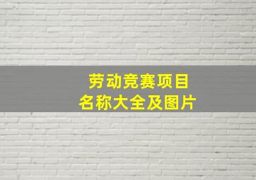 劳动竞赛项目名称大全及图片