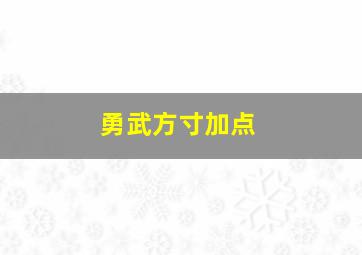 勇武方寸加点