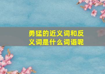 勇猛的近义词和反义词是什么词语呢