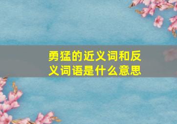 勇猛的近义词和反义词语是什么意思