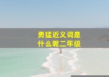 勇猛近义词是什么呢二年级