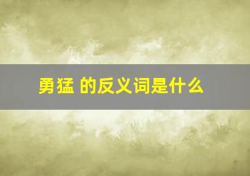 勇猛 的反义词是什么