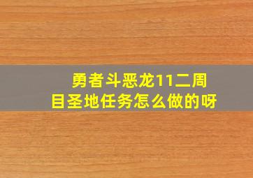 勇者斗恶龙11二周目圣地任务怎么做的呀