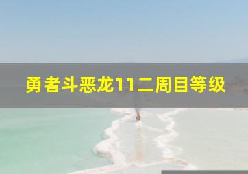 勇者斗恶龙11二周目等级