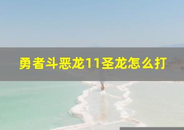 勇者斗恶龙11圣龙怎么打