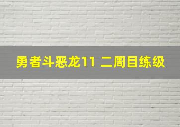 勇者斗恶龙11 二周目练级