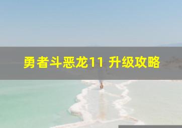 勇者斗恶龙11 升级攻略