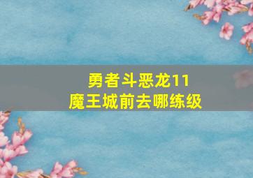 勇者斗恶龙11 魔王城前去哪练级