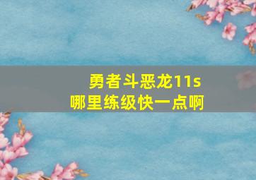 勇者斗恶龙11s哪里练级快一点啊