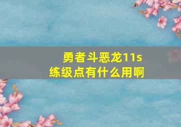 勇者斗恶龙11s练级点有什么用啊