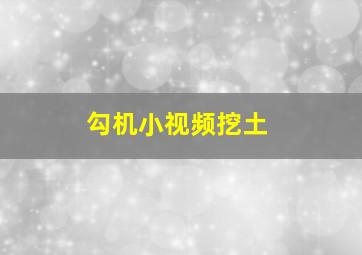 勾机小视频挖土