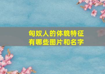 匈奴人的体貌特征有哪些图片和名字