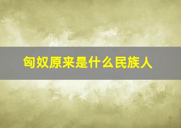 匈奴原来是什么民族人