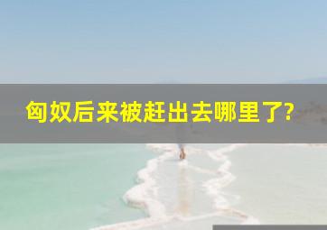 匈奴后来被赶出去哪里了?