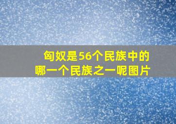 匈奴是56个民族中的哪一个民族之一呢图片