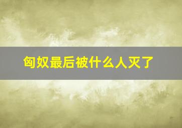 匈奴最后被什么人灭了