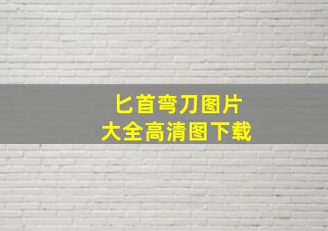 匕首弯刀图片大全高清图下载